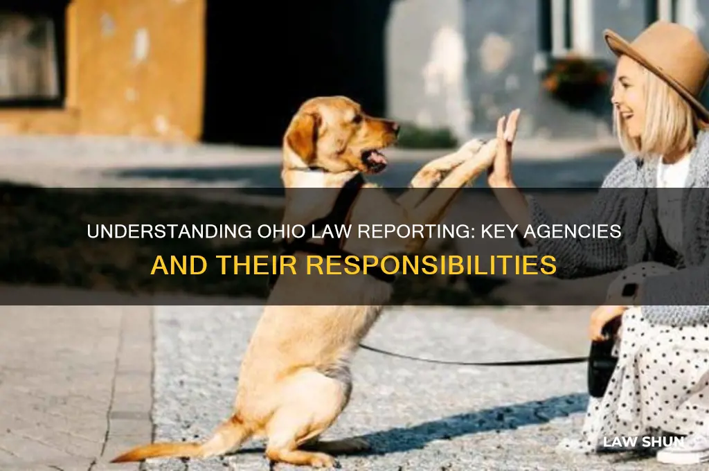 who reports ohio law