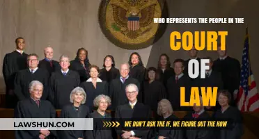 Who Speaks for the People in the Court of Law?
