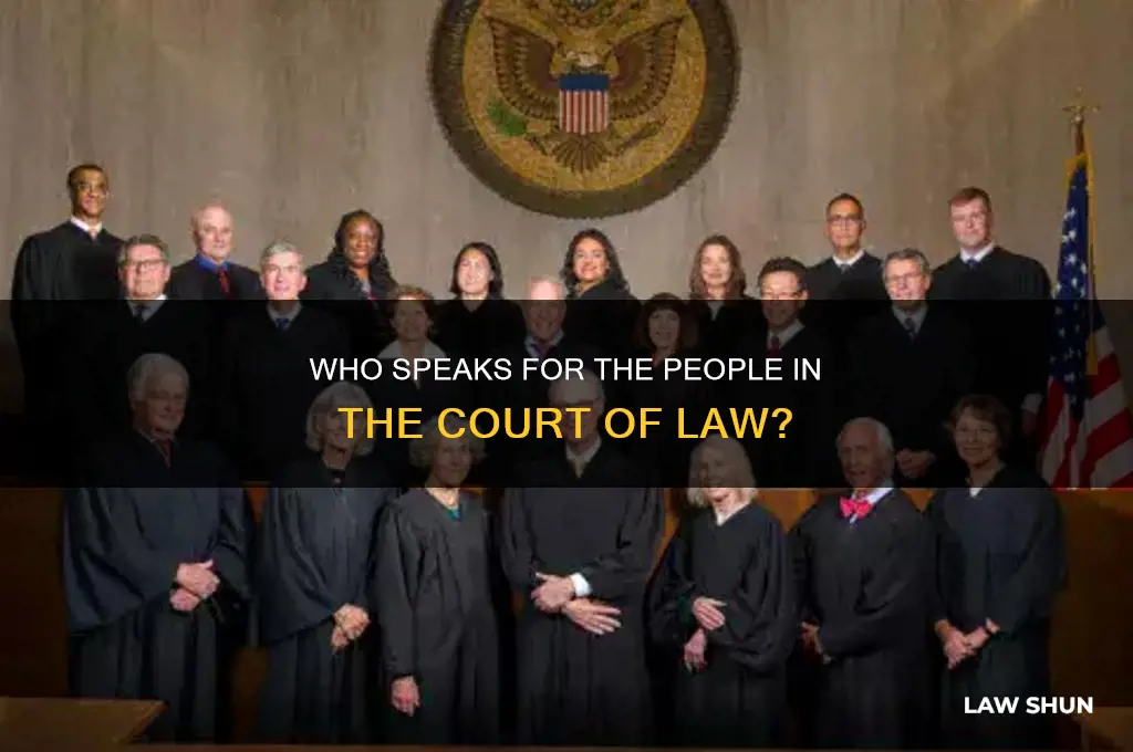 who represents the people in the court of law