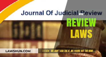 Who Reviews Laws? Understanding the Role of Judicial Oversight