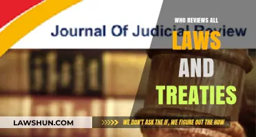Who Reviews All Laws and Treaties? Understanding the Role of Judicial Oversight