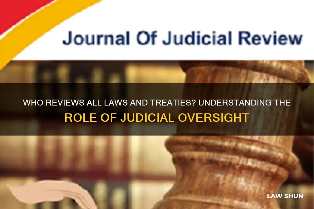 who reviews all laws and treaties