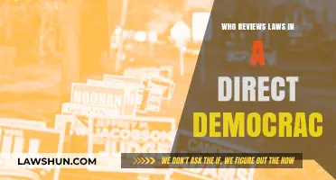 Direct Democracy: Who Reviews and Revises Laws in Citizen-Led Governance?