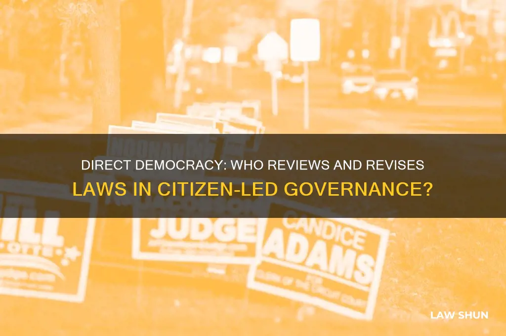 who reviews laws in a direct democracy