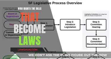 How Laws are Made: Bills and their Creators