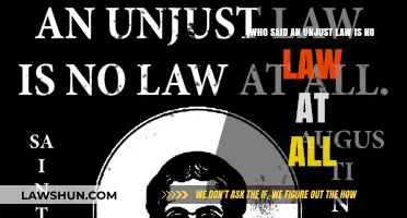 Unjust Laws: Are They Truly Laws? Exploring the Famous Quote