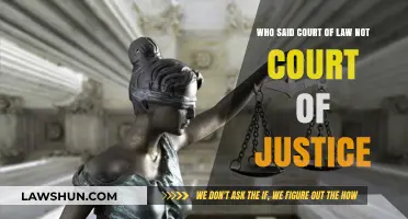 Court of Law vs. Justice: Who Drew the Line?