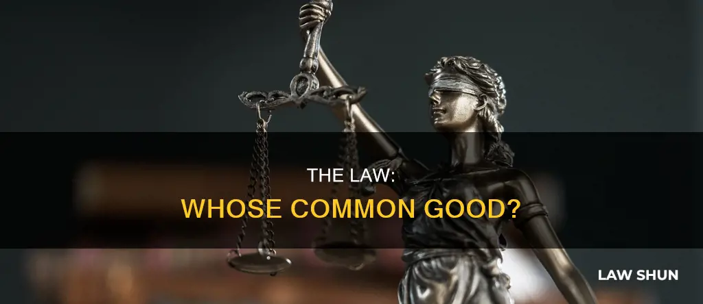 who said law is the for the common good
