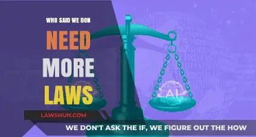 Who Said We Don't Need More Laws? Debunking the Myth