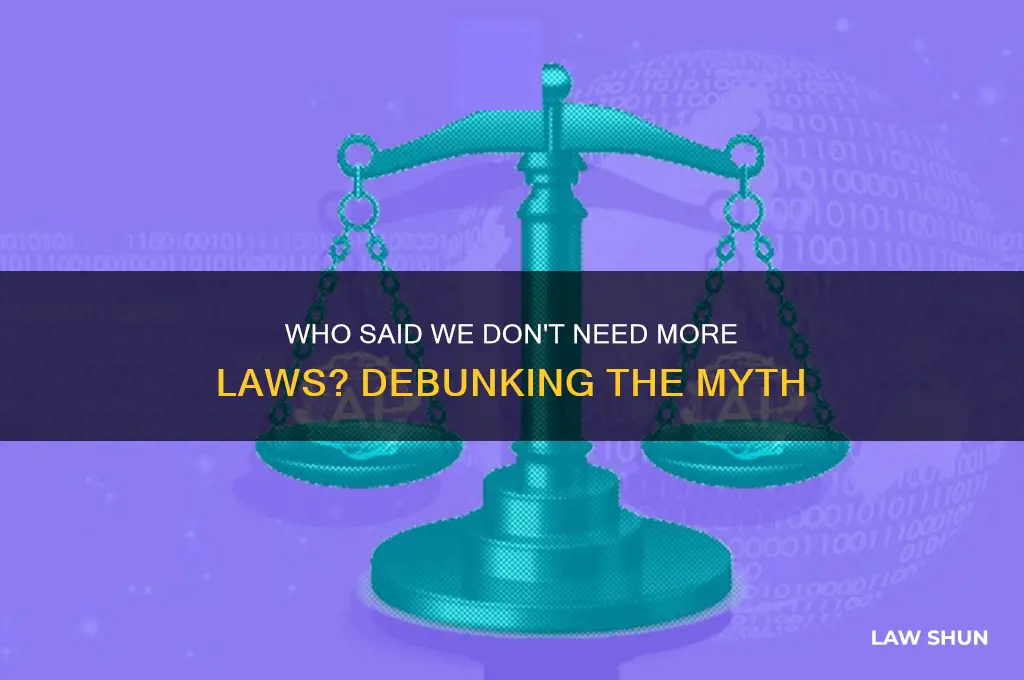 who said we don need more laws