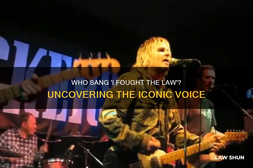 who sang i fought the law and the law one