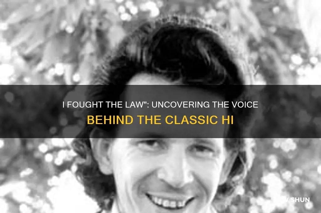 who sang i fought the law and the law won