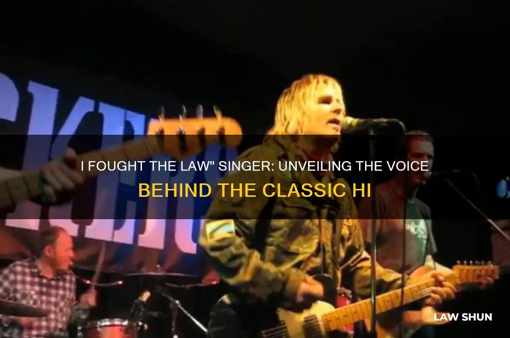 who sang i fought the law but the law won