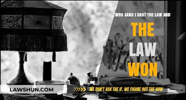 Unveiling the Voice Behind 'I Shot the Law and the Law Won