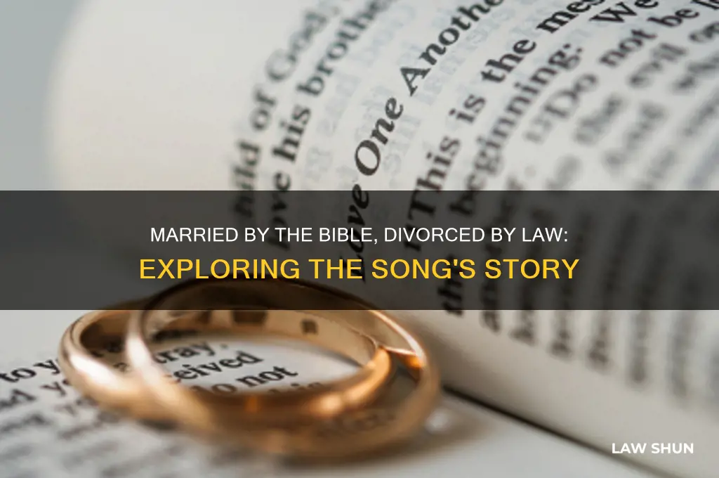 who sang married by the bible divorced by the law