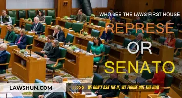 Who Reviews Laws First: Representatives or Senators?