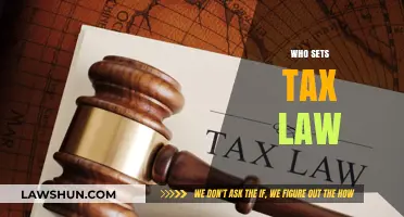 Who Decides Tax Law and Why It Matters