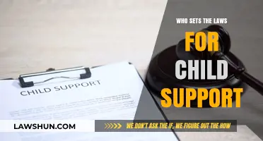 Understanding Child Support Laws: Who Determines Financial Responsibility?