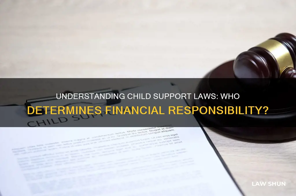 who sets the laws for child support