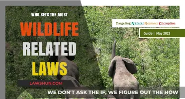 Who Holds the Power: Understanding Wildlife Law Governance and Authority