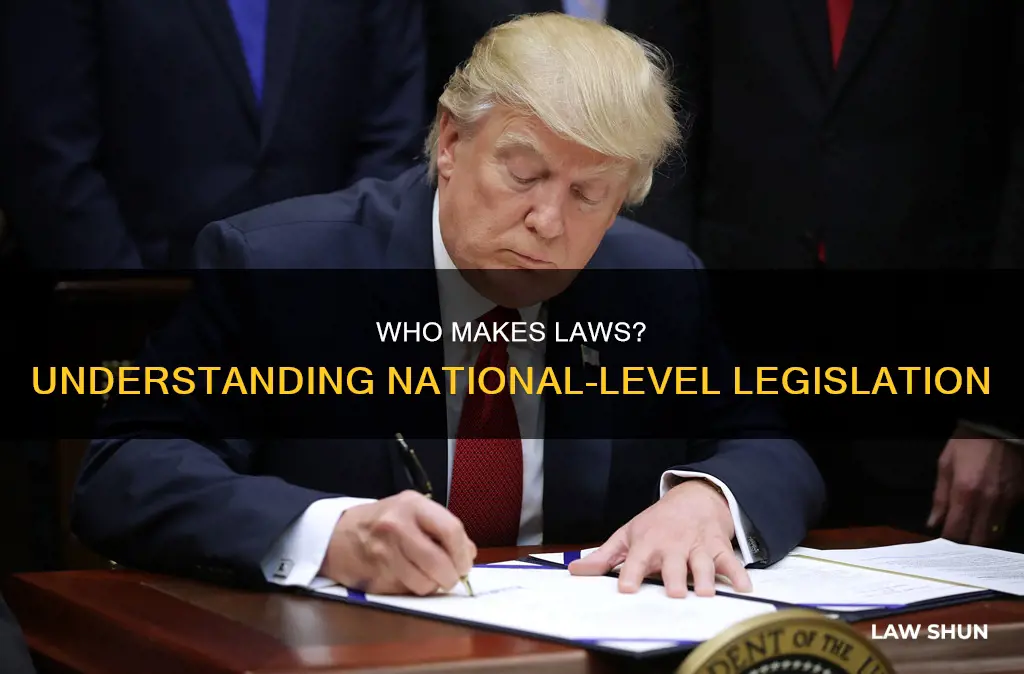 who signs bills to become laws at the national level