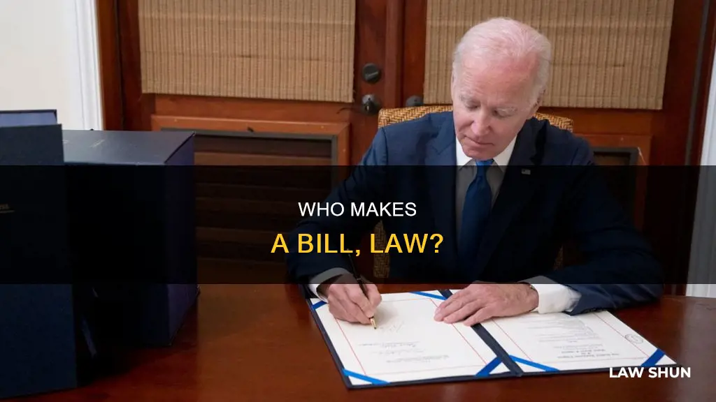 who signs bills to become laws group of answer choices