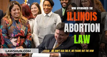 Who is Behind Illinois' Abortion Law?