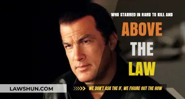 Steven Seagal's Rise: Hard to Kill and Above the Law Stars