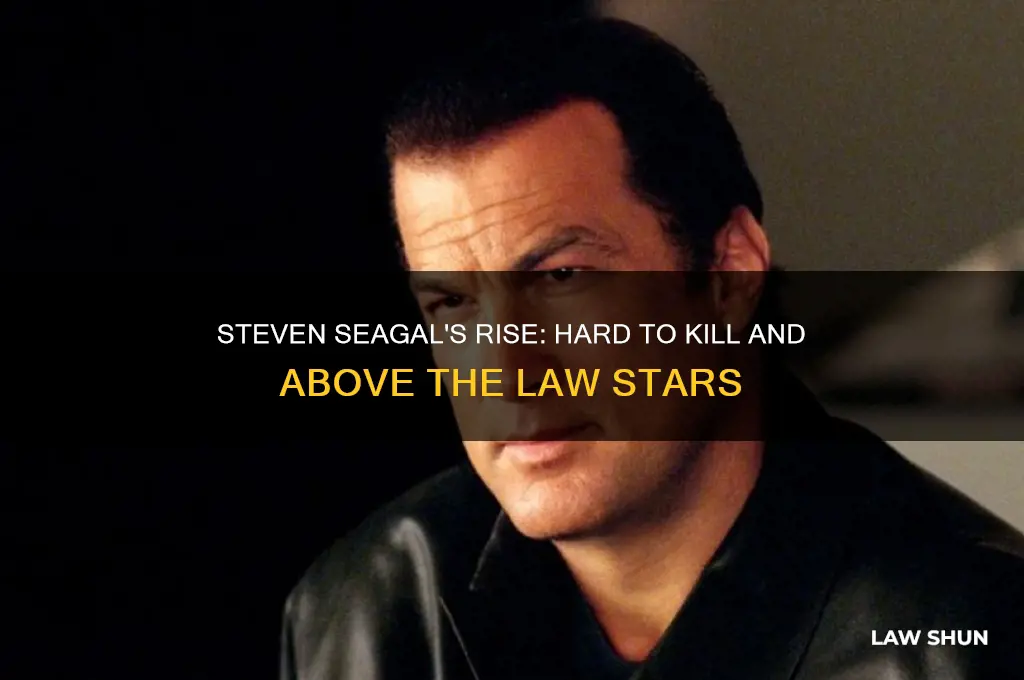 who starred in hard to kill and above the law