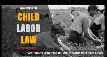 The Origins of Child Labor Laws: Who Championed Their Creation?