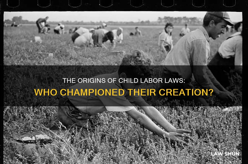 who startd the child labor law