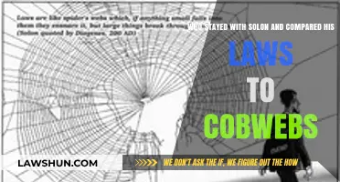 Solon's Laws Compared to Cobwebs: Who Stayed and Why