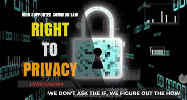 The Right to Privacy: Who Are Its Supporters?