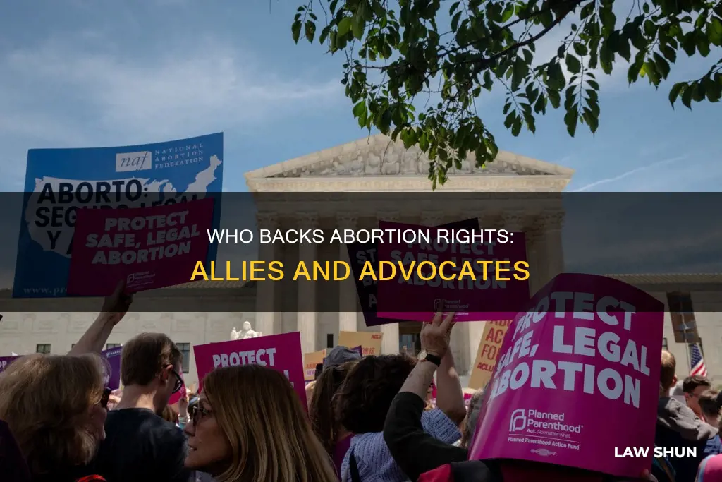 who supports abortion law