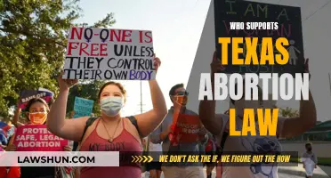 Texas Abortion Law: Who's in Support?