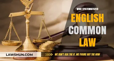 The Common Law System: A Historical Overview