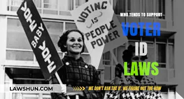 Who Backs Voter ID Laws? Exploring Demographics and Political Trends