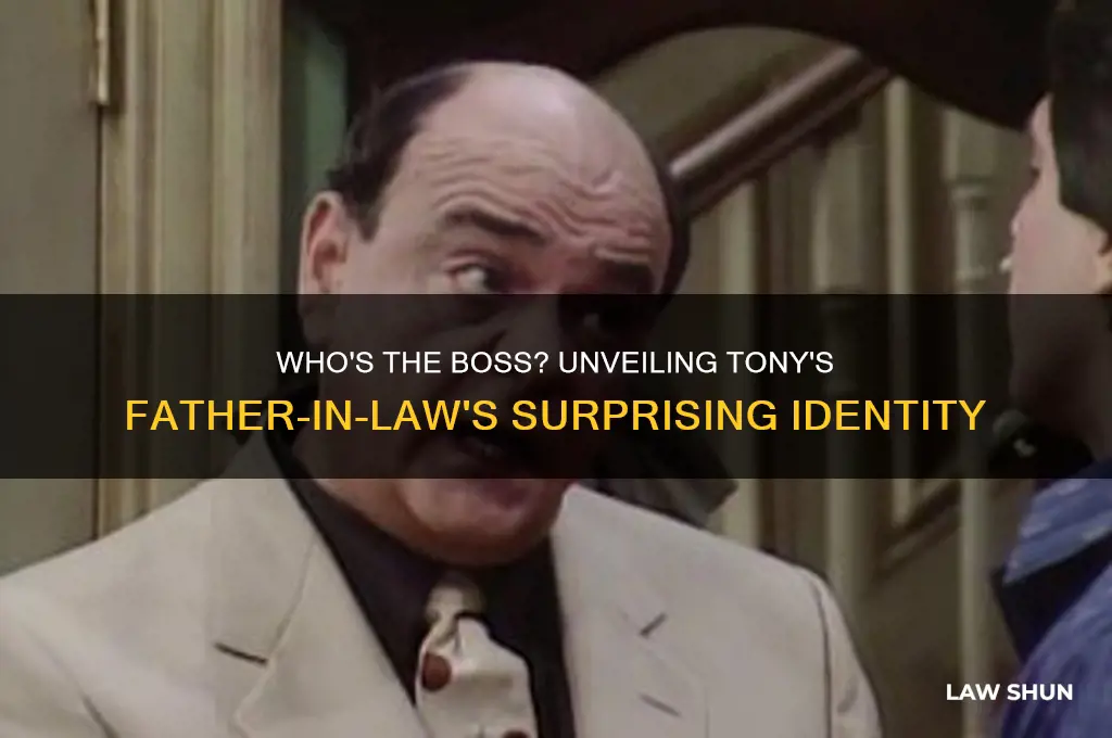who the boss tony
