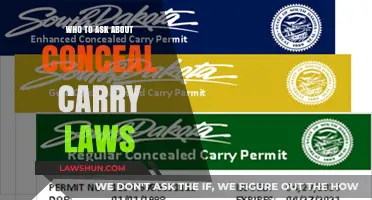 Navigating Conceal Carry Laws: Who to Consult for Accurate Guidance