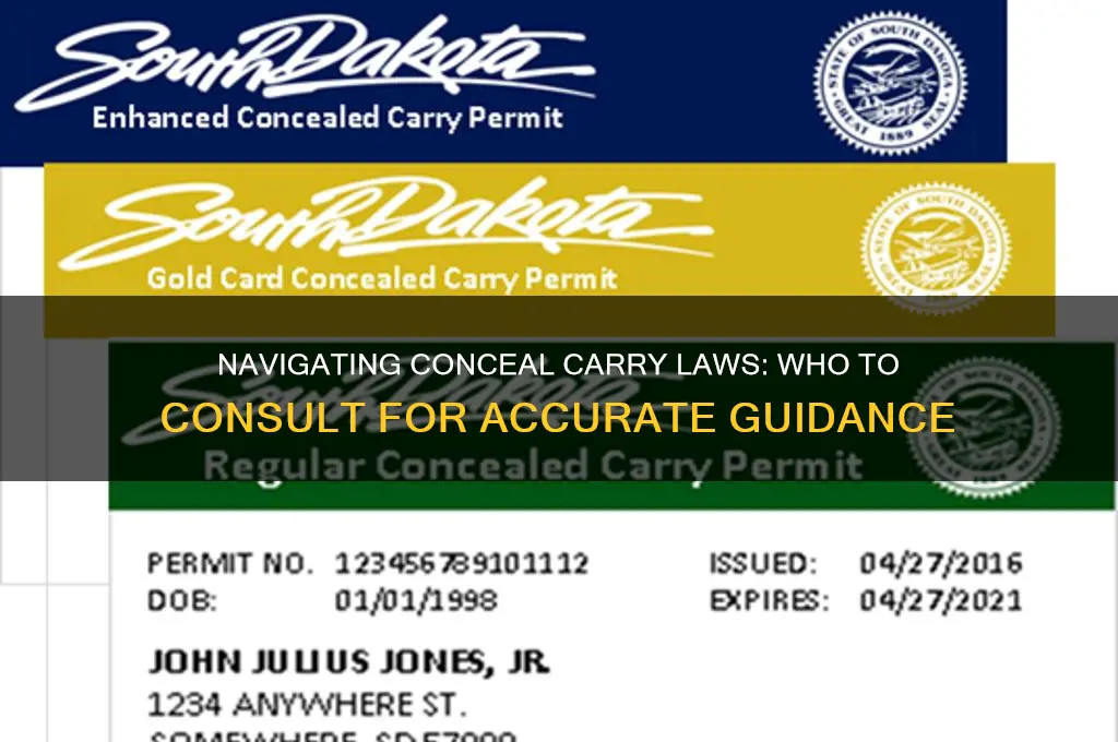 who to ask about conceal carry laws