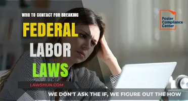 Unraveling the Web: Who to Contact for Federal Labor Law Breaches