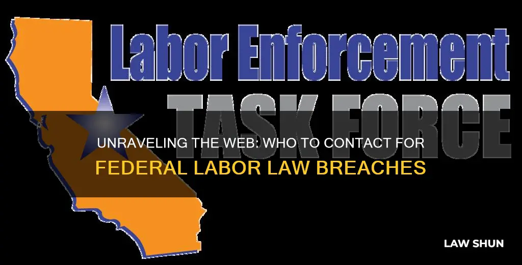 who to contact for breaking federal labor laws