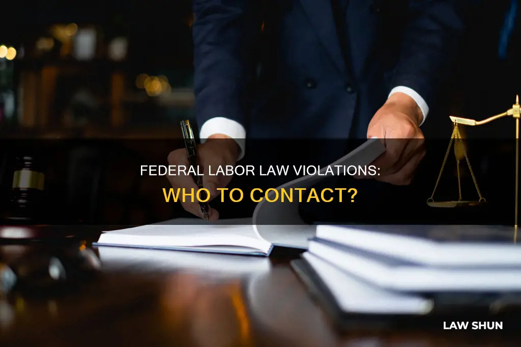 who to contact for breaking federal labor laws