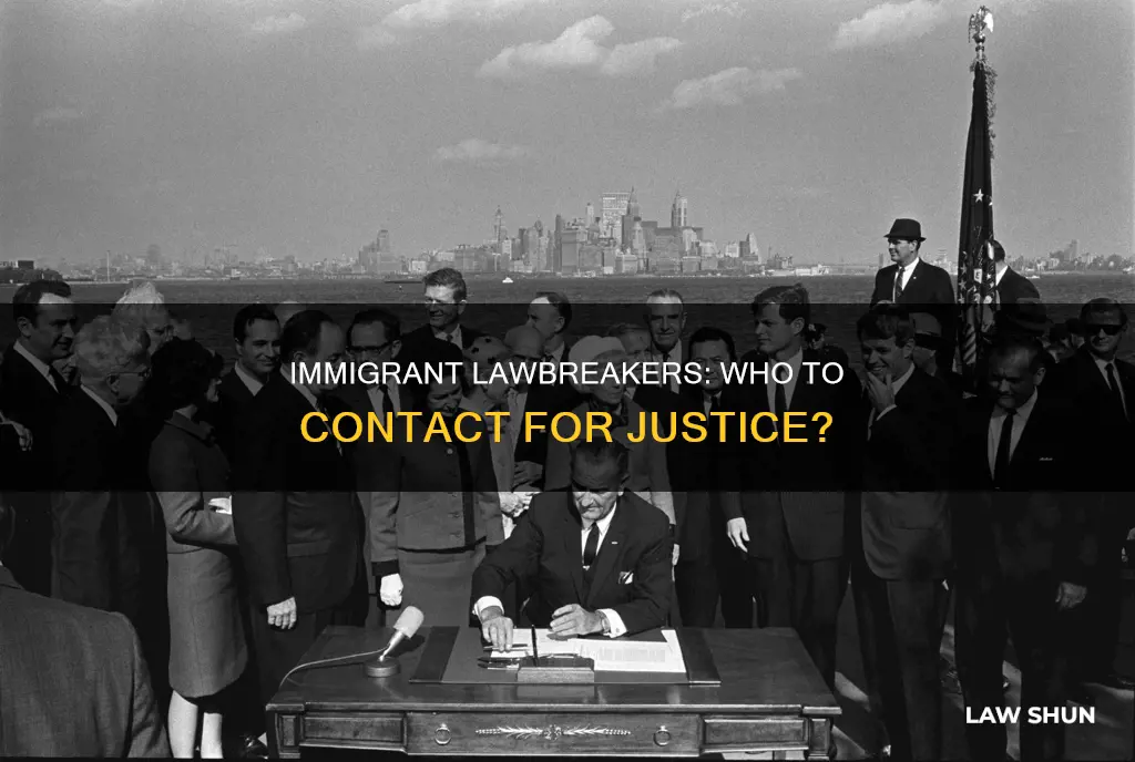 who to contact if immigrants break the law