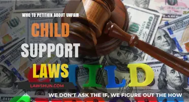 Unfair Child Support Laws: Who to Petition for Justice and Reform