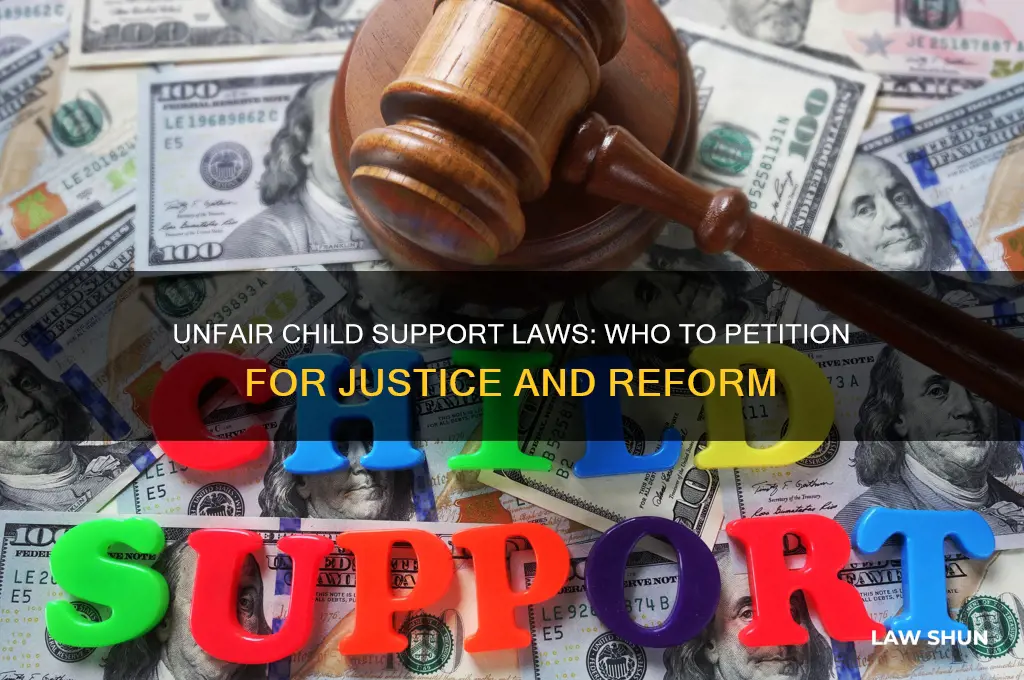 who to petition about unfair child support laws