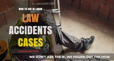 Labor Law Accidents: Who to Sue?