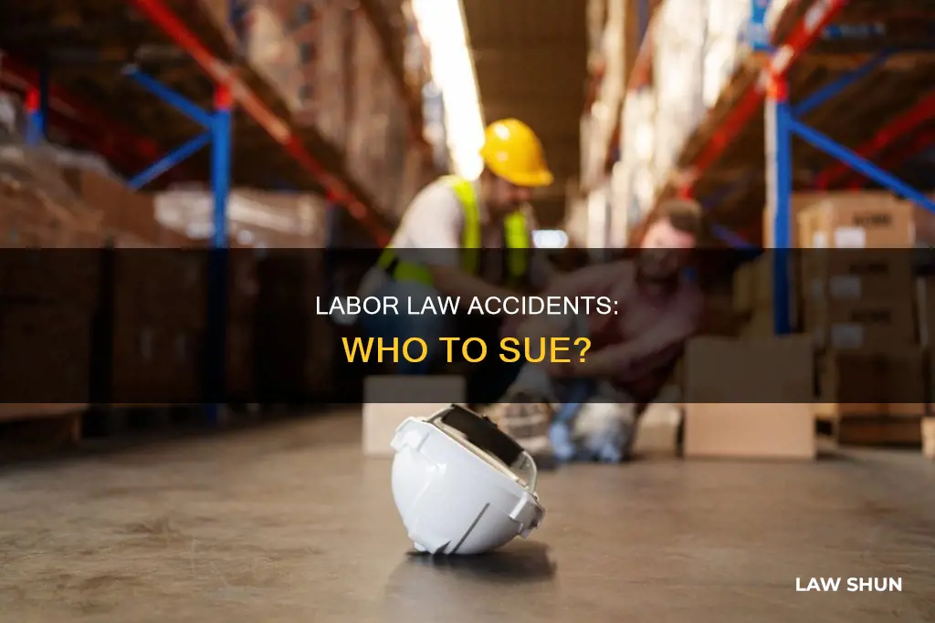 who to sue in labor law accidents cases