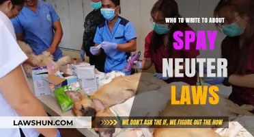 Advocating for Change: Who to Contact About Spay/Neuter Laws
