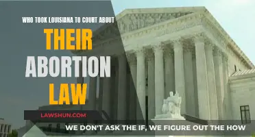 Louisiana Abortion Law Faces Legal Challenge in Court